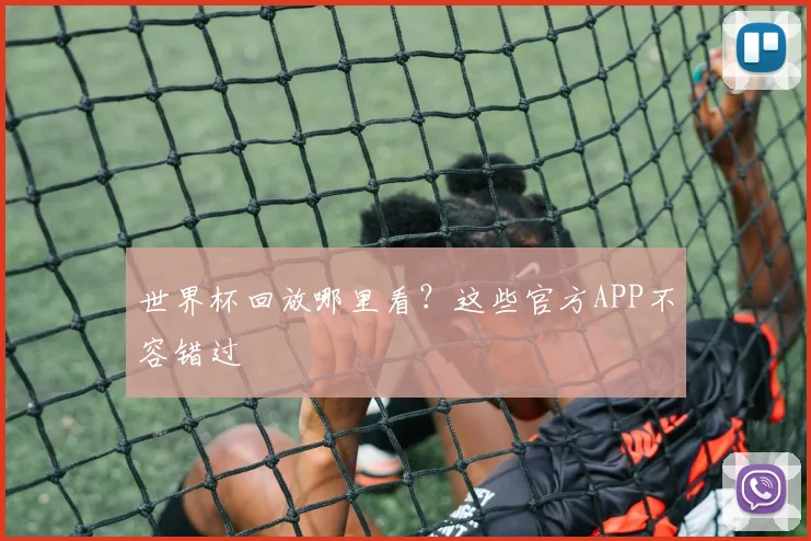 世界杯回放哪里看?这些官方APP不容错过