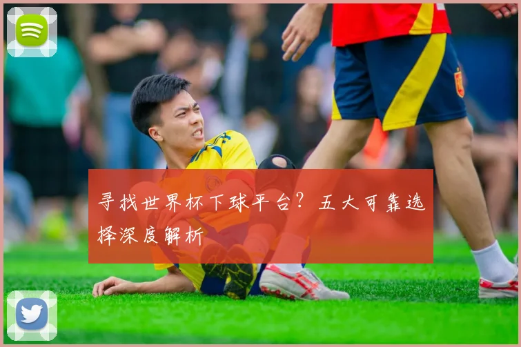 寻找世界杯下球平台？五大可靠选择深度解析