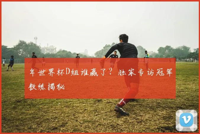 年世界杯D组谁赢了？独家专访冠军教练揭秘